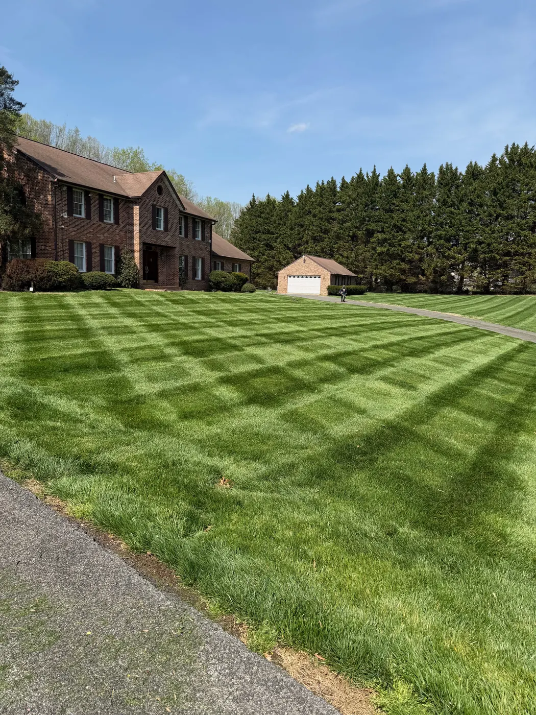 Mowed lawn with crisp stripes in front of a brick colonial in Maryland