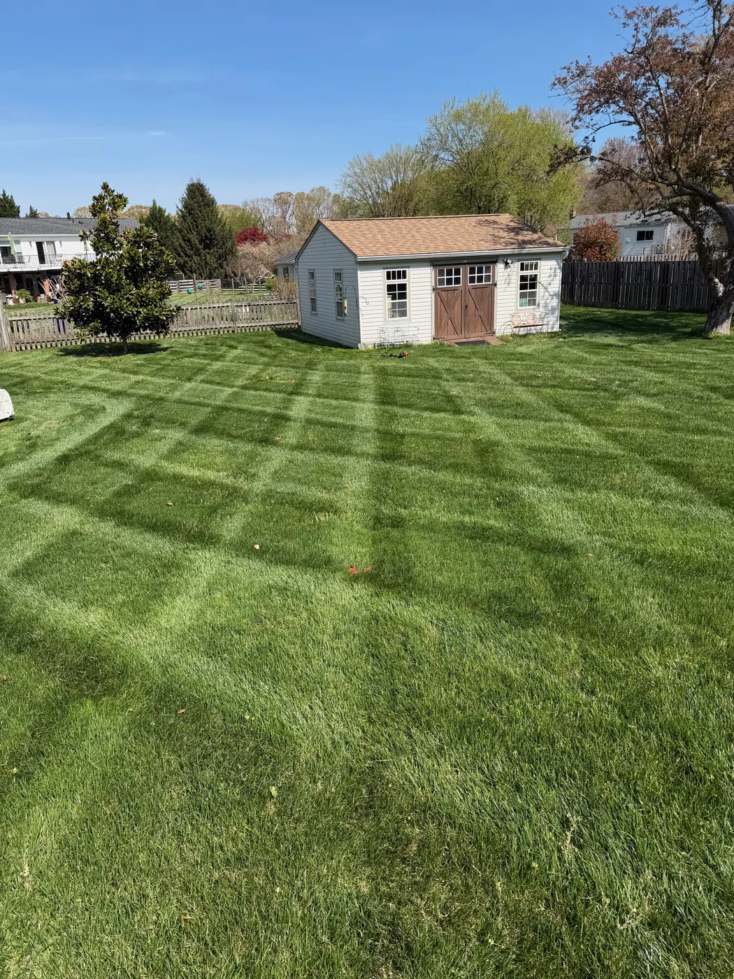 Freshly striped lawn beside a small white shed