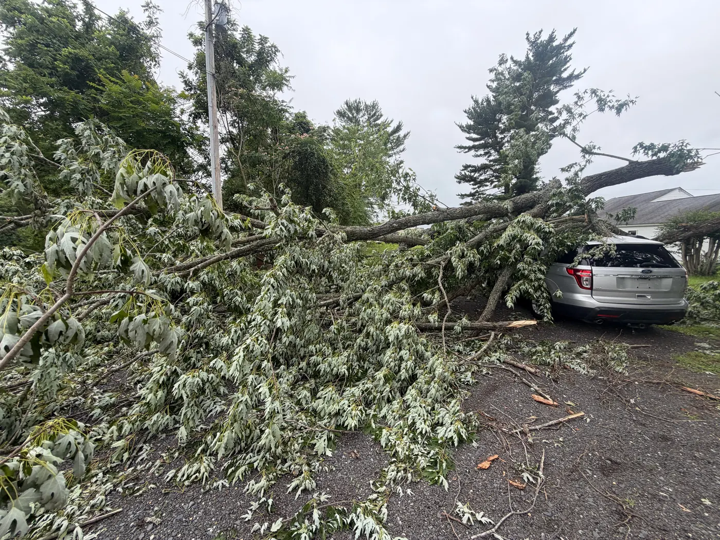 Storm-fallen tree across a driveway and a parked car