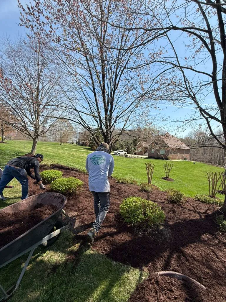 Two crew members spreading mulch with a wheelbarrow on a sunny lawn