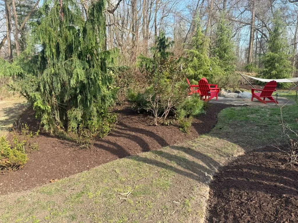Evergreens and a clean mulch edge beside a lawn, with red chairs in the background